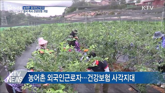 농어촌 외국인근로자 입국 즉시 건강보험 가입