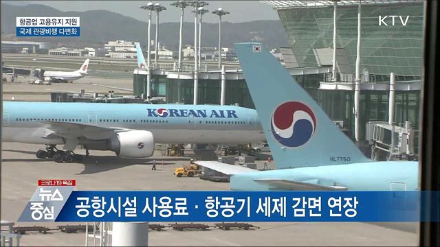 항공업계 고용유지 지원 연장···관광 비행 확대