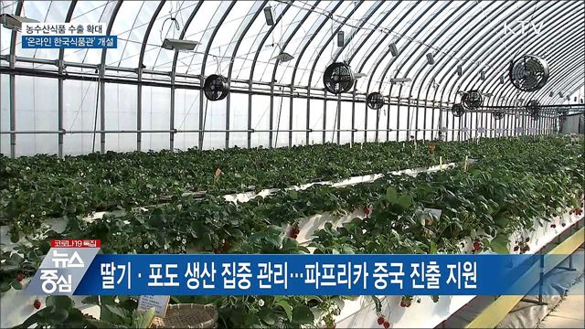 농수산식품 수출 확대···'온라인 한국식품관' 개설