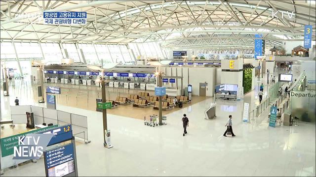 항공업계 고용유지 지원 연장···관광 비행 확대