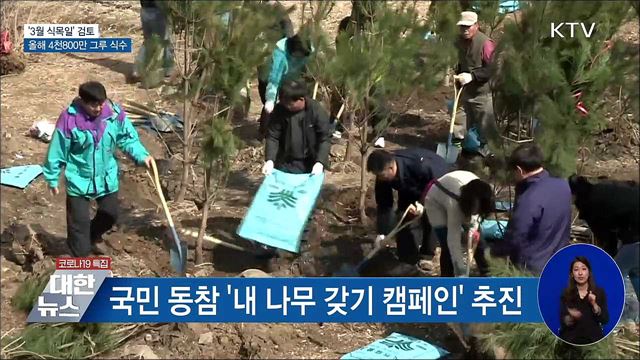 '3월 식목일' 검토···올해 4천800만 그루 식수