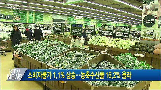 소비자물가 1.1% 상승···농축수산물 16.2% 올라