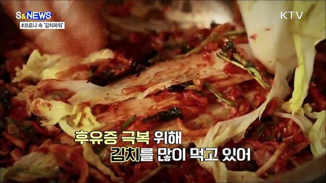 김치가 코로나 회복제? [S&News]
