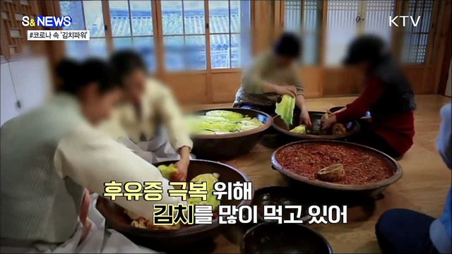 김치가 코로나 회복제? [S&News]