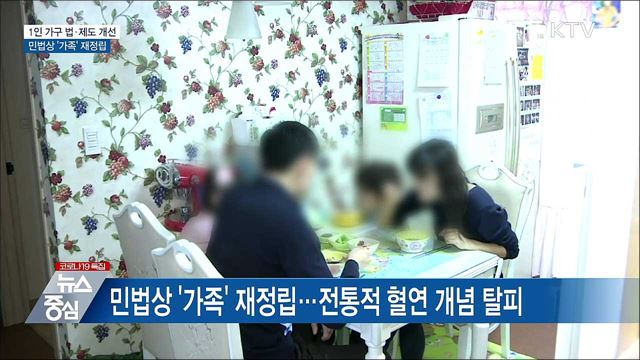 1인 가구 법·제도 개선···민법상 '가족' 재정립