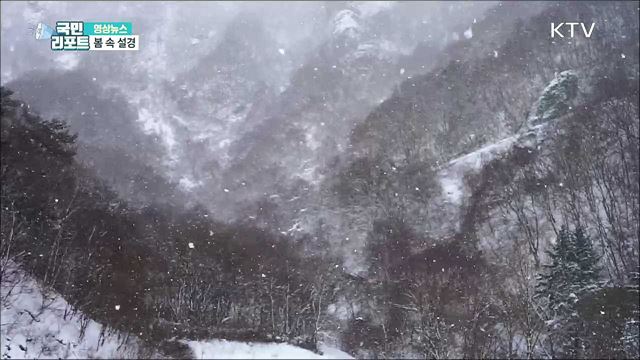 봄 속 설경 [한국의 美]