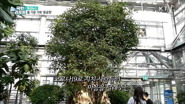 봄 기운 가득 '동궁원' [한국의 美]
