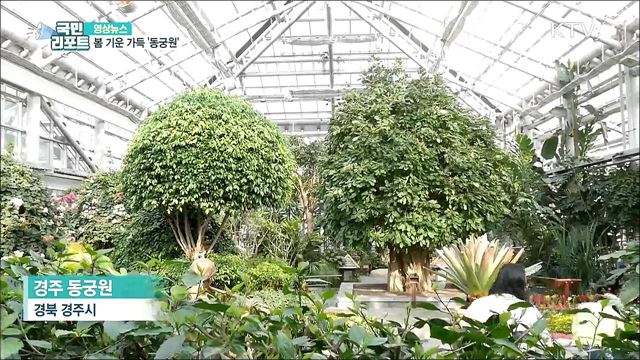 봄 기운 가득 '동궁원' [한국의 美]