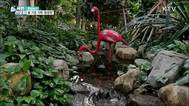 봄 기운 가득 ‘동궁원’ [한국의 美]