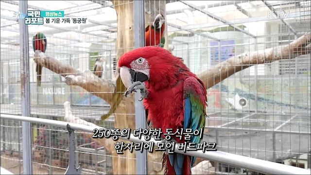 봄 기운 가득 ‘동궁원’ [한국의 美]