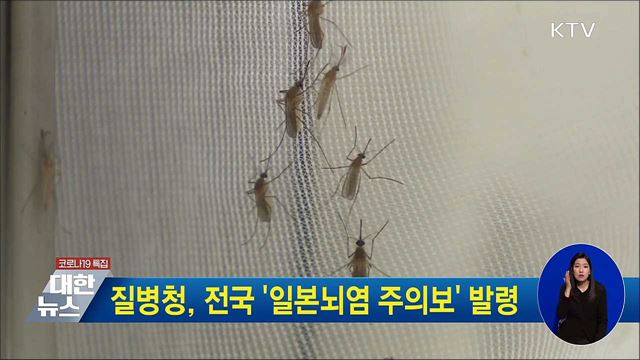 질병청, 전국 '일본뇌염 주의보' 발령