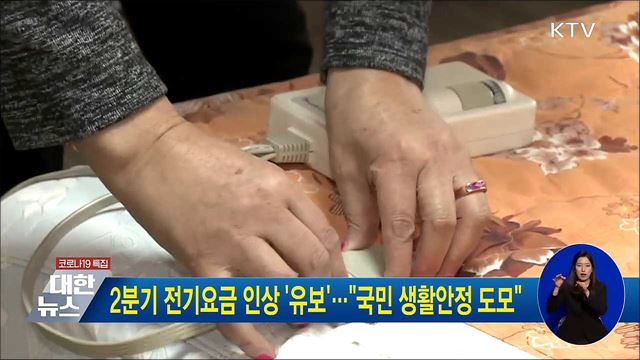 2분기 전기요금 인상 '유보'···"국민 생활 안정 도모"