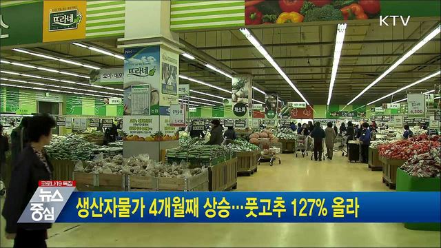 생산자물가 4개월째 상승···풋고추 127% 올라