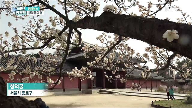 창덕궁의 봄 [한국의 美]