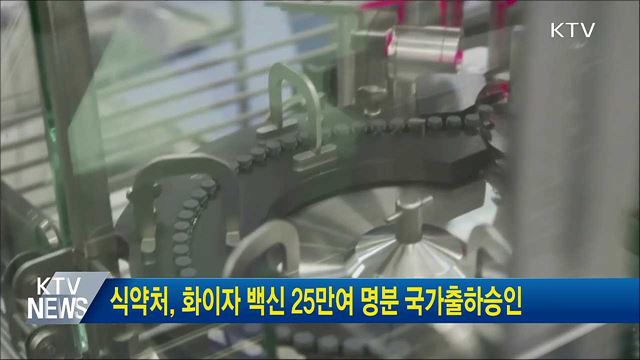 식약처, 화이자 백신 25만여 명분 국가출하승인