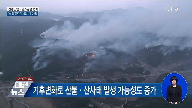 산림뉴딜·탄소중립 연계···'산림일자리' 8만 개 창출