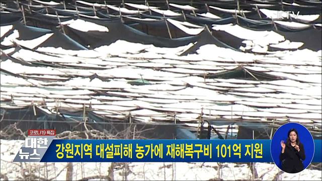 강원지역 대설피해 농가에 재해복구비 101억 지원