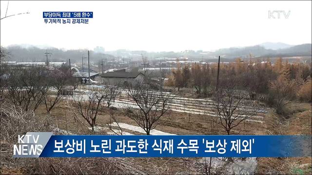 부당이득 '5배 환수'···투기목적 농지 강제처분