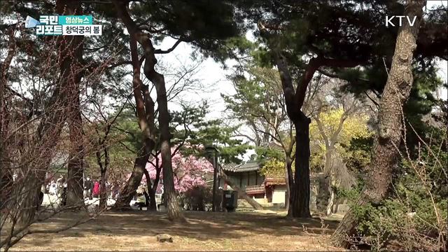 창덕궁의 봄 [한국의 美]