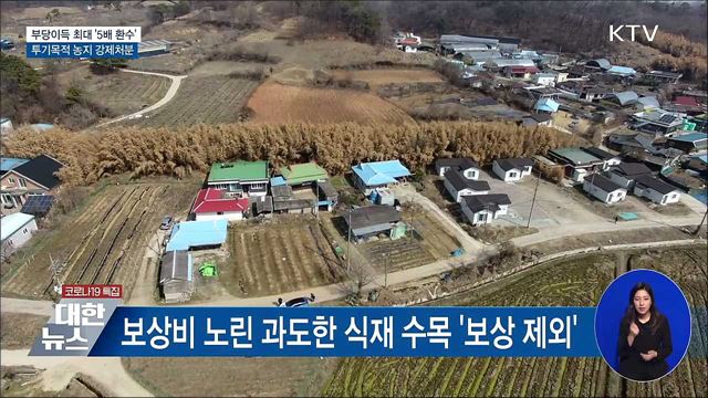 부당이득 '5배 환수'···투기목적 농지 강제처분