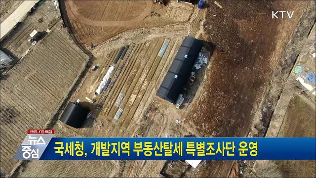 국세청, 개발지역 부동산탈세 특별조사단 운영