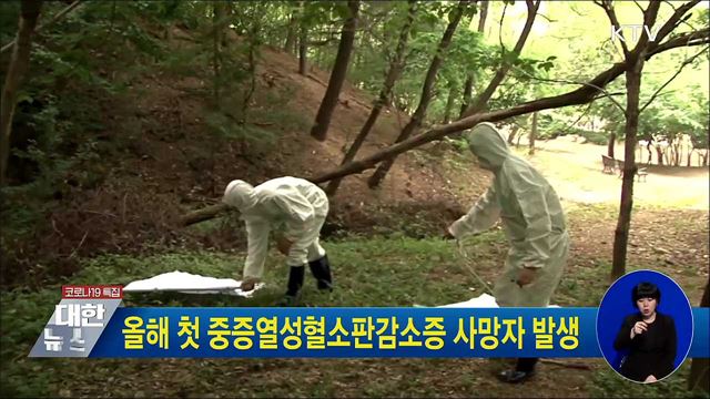 올해 첫 중증열성혈소판감소증 사망자 발생