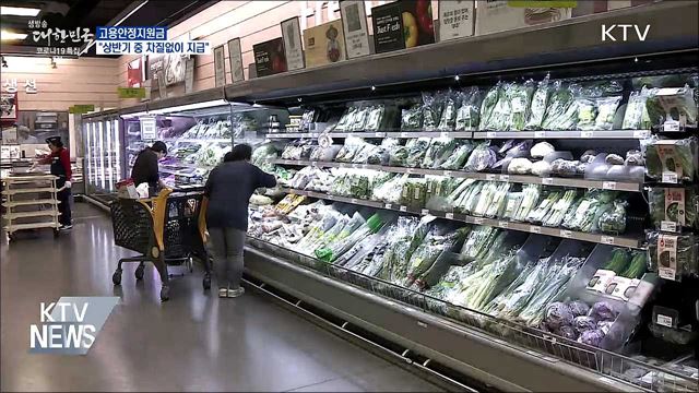 "고용안정지원금 상반기 중 차질없이 지급"