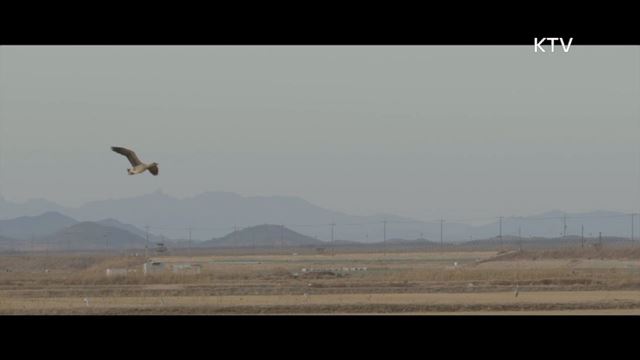 (MV) 풍경소리 시즌4 하이라이트 미리보기- 경기도 평화누리길 희망의 멜로디