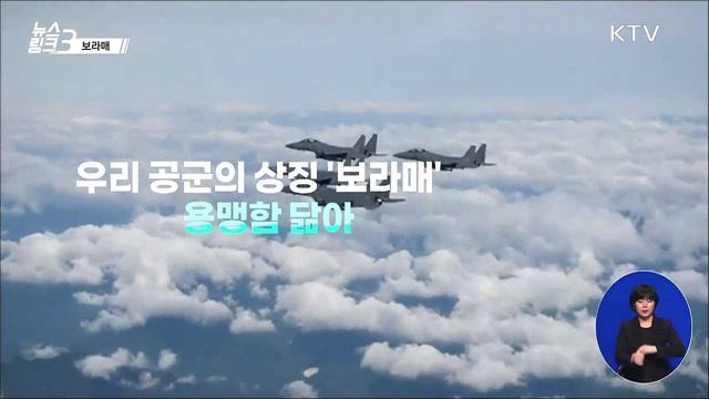 보라매 [뉴스링크]