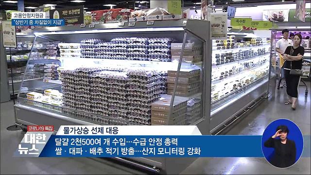 "고용안정지원금 상반기 중 차질없이 지급"