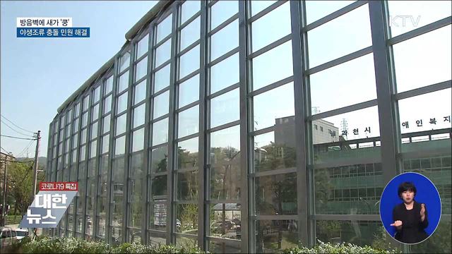 방음벽에 새가 '쿵'···과천시 야생조류 충돌 민원 해결 [우리동네 개선문]