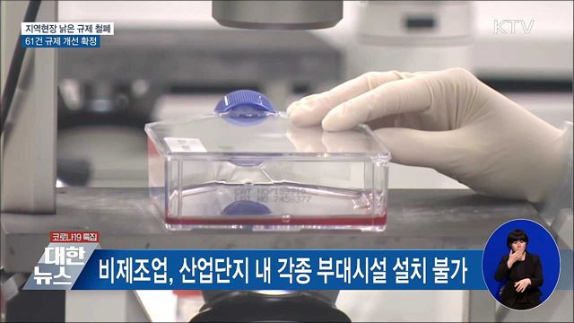 지역현장 낡은 규제 개선한다···61건 확정