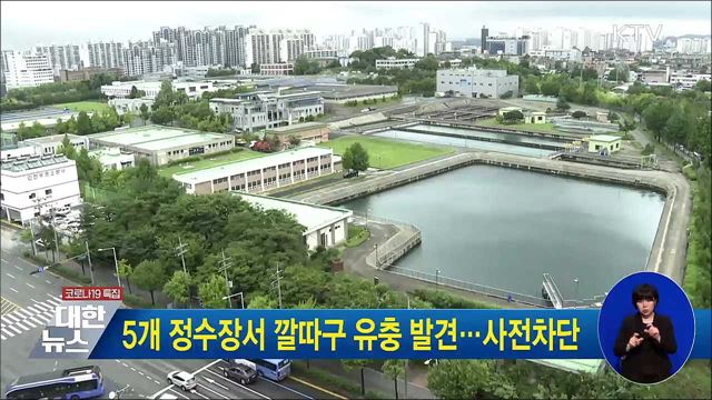 5개 정수장서 깔따구 유충 발견···사전차단