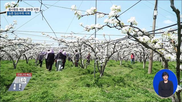 봉사활동 매칭·공무원 지원···농촌 일손부족 극복 [우리동네 개선문]