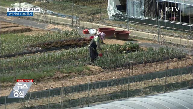 외국인 보유 토지 253.3㎢···1년 새 1.9% 증가