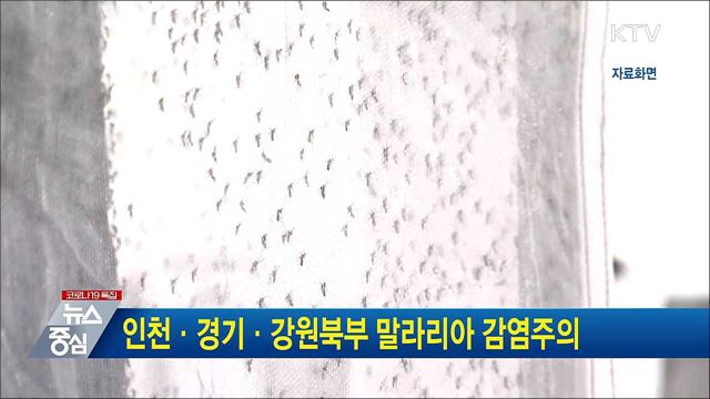인천·경기·강원북부 말라리아 감염주의