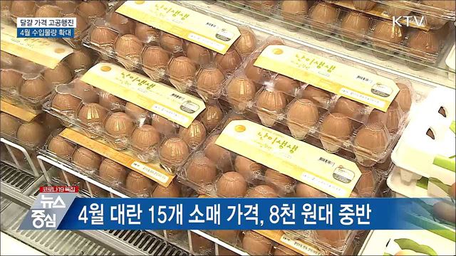 4월 달걀 수입 4천만 개···5월에도 수입 추진