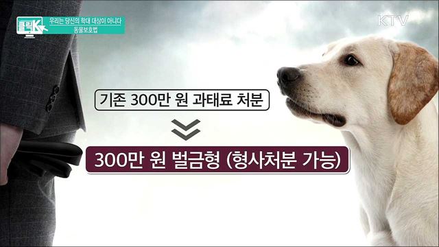 우리는 당신의 학대 대상이 아니다 동물보호법 [클릭K]