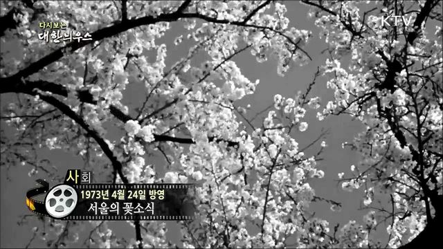 다시보는 대한늬우스 (74. 4. 24)