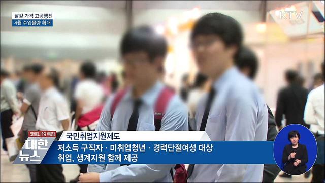 4월 달걀 수입 4천만 개···5월에도 수입 추진