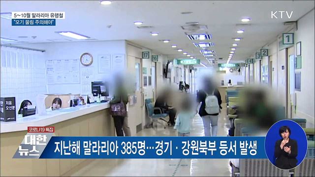 5∼10월 말라리아 유행철···"모기 물림 주의해야"