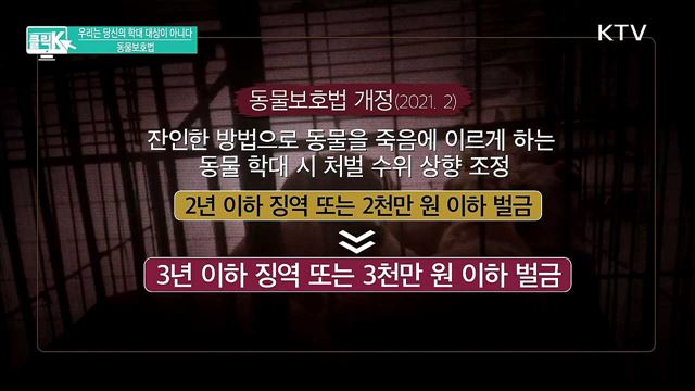 우리는 당신의 학대 대상이 아니다 동물보호법 [클릭K]