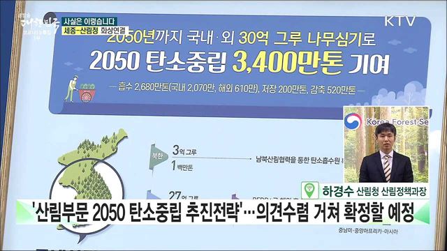 30년 이상 노령림 벌목 산림의 기후위기 대책 재검토해야 한다? [사실은 이렇습니다]