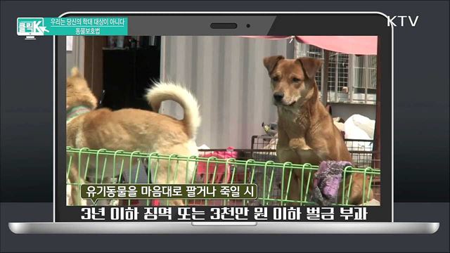 우리는 당신의 학대 대상이 아니다 동물보호법 [클릭K]