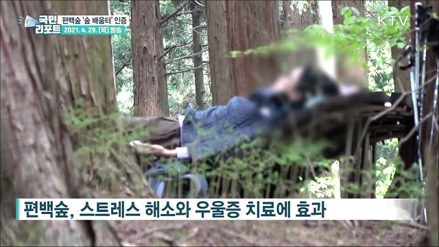 장성 축령산 편백숲 '숲 배움터' 국제 인증