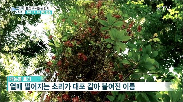 도심 속 서울식물원 인기, 관람객 천만 명 넘어