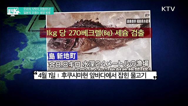 우리의 식탁이 위험하다! 일본의 오염수 해양 방류 [클릭K]