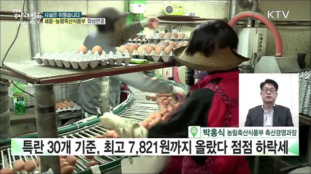 '금란 파동', 6월이면 해소 현실 반영 못하고 있다? [사실은 이렇습니다]