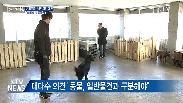 '반려동물' 법적지위 개선 논의···"물건과 구분"
