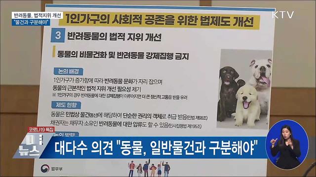 '반려동물' 법적지위 개선 논의···"물건과 구분"